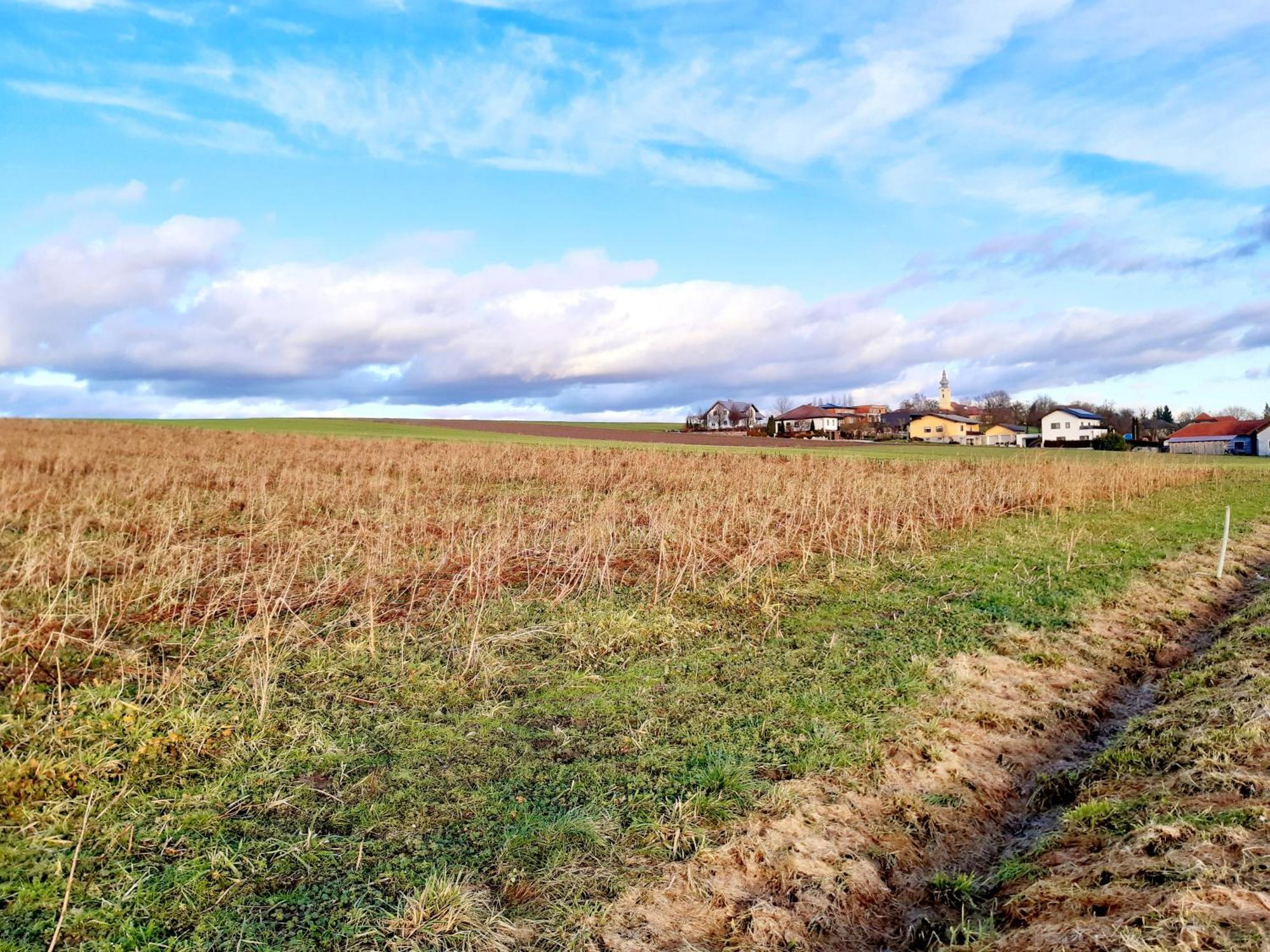 Schoene Altbauwohnung Auf Dem Land Kallham ภายนอก รูปภาพ
